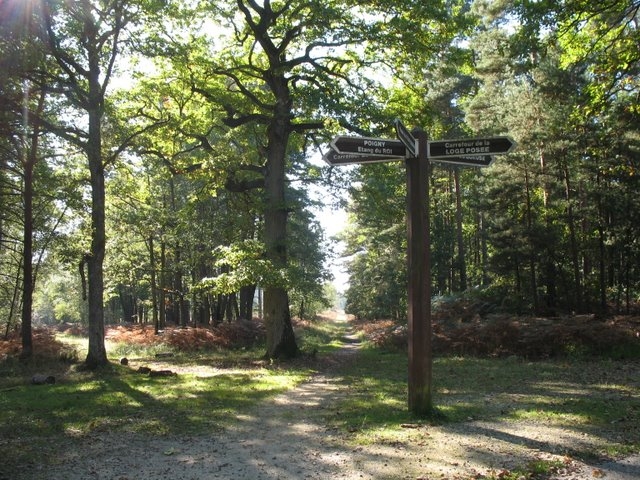 2007 10 Myco Pecqueuse 20